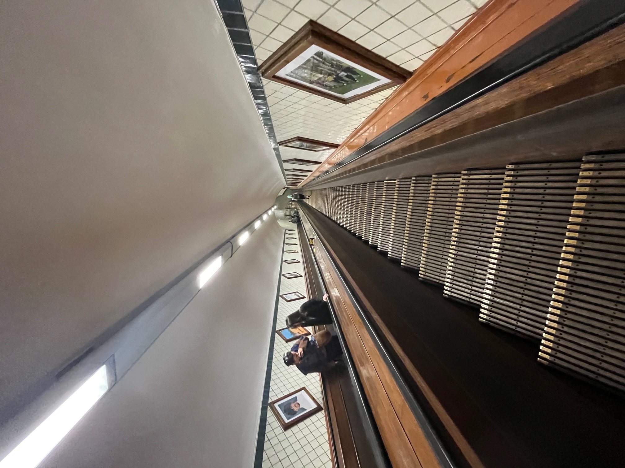 Scheldetunnel